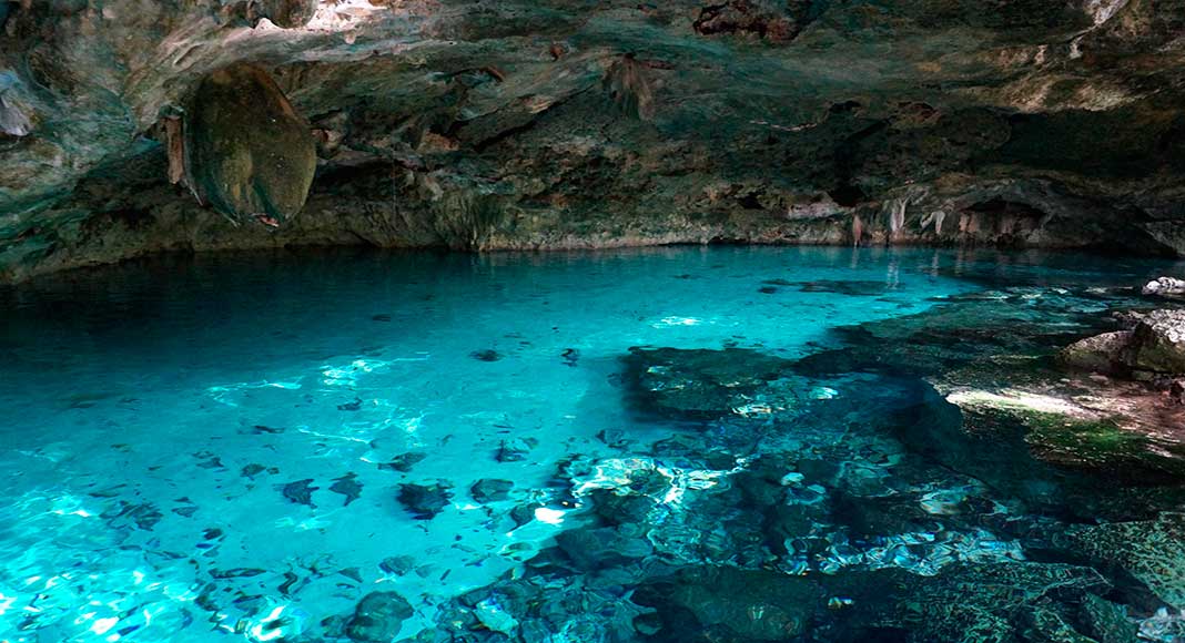 Cenote with crystal clear turquoise water near Playa del Carmen in the Riviera Maya